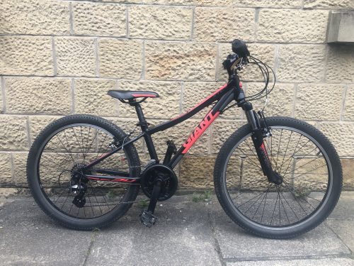 Giant Allux XTC Jr